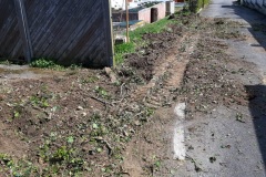 IMG-20210501-WA0029-gast